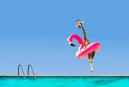 Spring Into Pool Season: September Pool Care Tips From Pool Builders Pool Shop